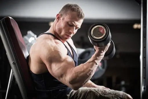 ON Serious Mass Weight Gainer | 2LB PACK